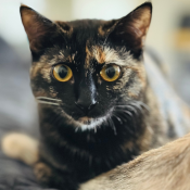 eloise eloise